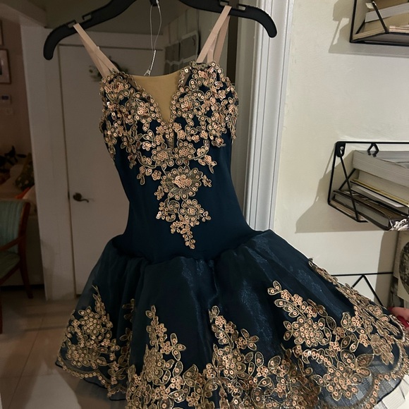 Gorgeous ballet costume in perfect condition - Picture 5 of 7